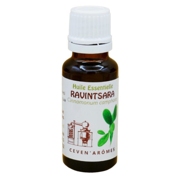 Céven'Arômes 100% tīra Ravintsaras ēteriskā eļļa, 20 ml Céven'Arômes 100% tīra Ravintsaras ēteriskā eļļa, 20 ml