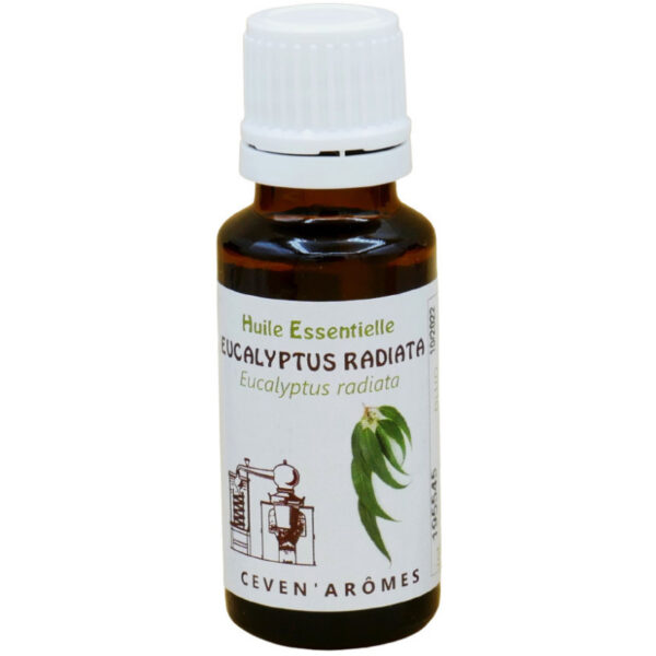 CevenAromes-100-grynas-spindulinio-eukalipto-eterinis-aliejus-20-ml.jpg