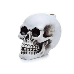 Vīraka turētājs Backflow Skull