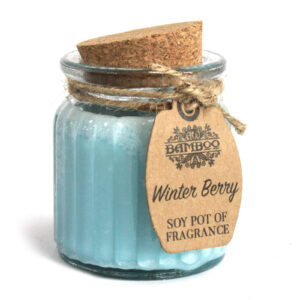 Sojas vaska svece Winter Berry 5x7 cm ar ziemas ogu aromātu